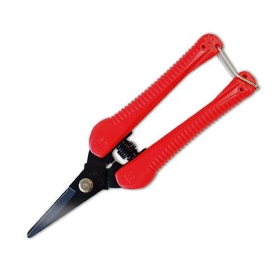 Buy SINSEUNG P4   Plastic Handle SK5 High Carbon Steel Scissors Pruning online manufacture