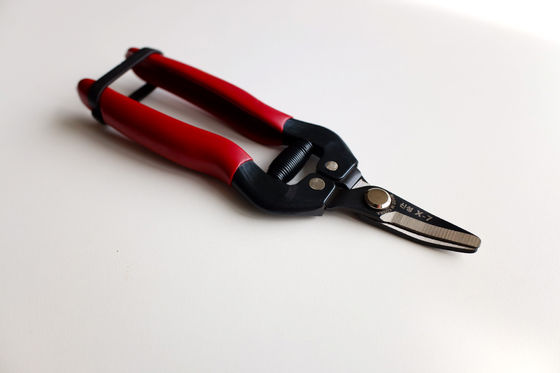 SINSEUNG SK5 X7 Hardware Scissors Curved And  Anti-Rust  Blades