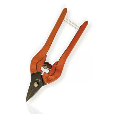 25cm Stainless Steel Blade Plastic Handles Scissors