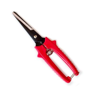 Multi-Tasking Small Garden Pruning Snips Straight Florist Scissors Shears