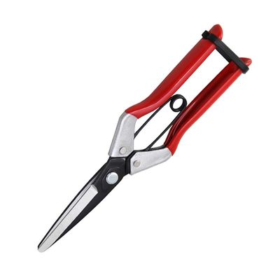 SINSEUNG X1 Hardware Scissors Onion Scissors  Spring And Ambidextrous Structure