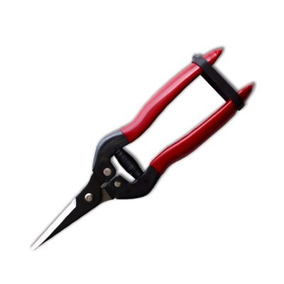 SINSEUNG X3 Hardware Scissors With Alkaline Black Dye Coating On Blade Tips