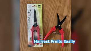 Fruit Harvesting Shears SK5 Steel