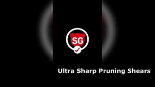 260120-2 pruners SG